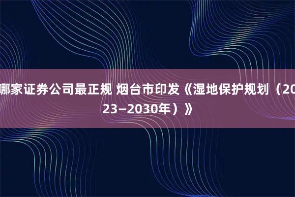 哪家证券公司最正规 烟台市印发《湿地保护规划（2023—2030年）》