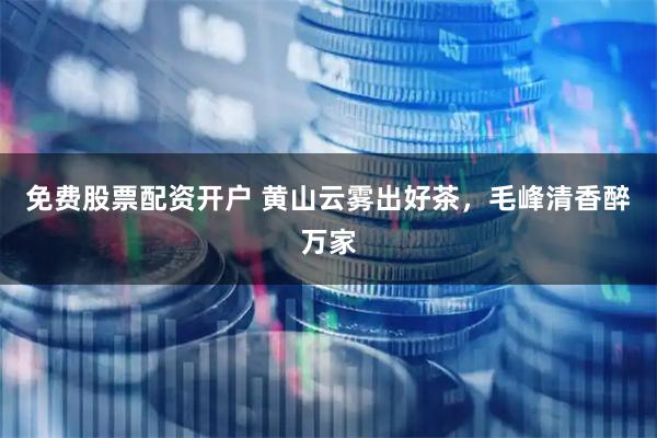 免费股票配资开户 黄山云雾出好茶，毛峰清香醉万家